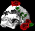 /album/photogallery/skull-rose-jpg/